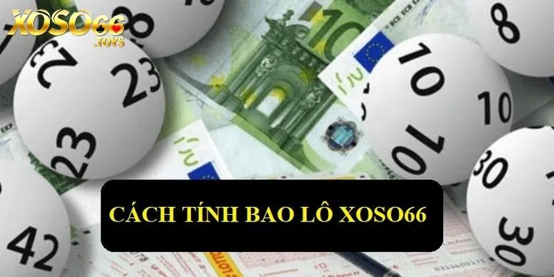 Bao Lô Xoso66 - Hình Thức Đặt Cược Mang Đến Tỷ Lệ Thưởng Cao 4 Tổng hợp cách tính bao lô hiệu quả