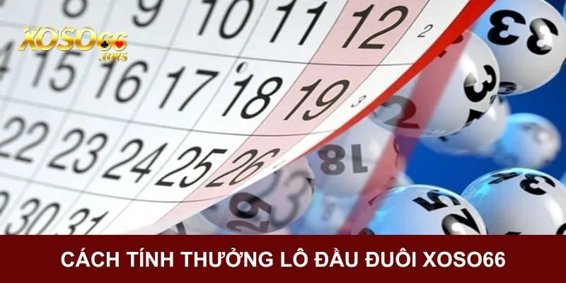 Lô Đầu Đuôi Xoso66 - Hình Thức Đánh Lô Đề Đáng Trải Nghiệm 2 Tổng hợp cách tính thưởng lô đầu đuôi