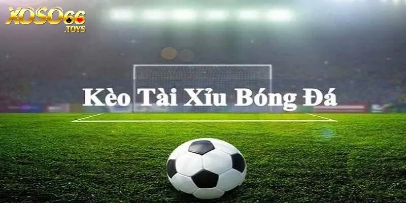 Thể Thao Xoso66 - Chuyên Mục Cá Cược Nhiều Kèo Hấp Dẫn 7 Kèo tài xỉu quy định về cách chơi rất dễ hiểu